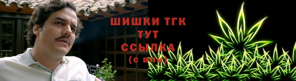 бошки Новозыбков