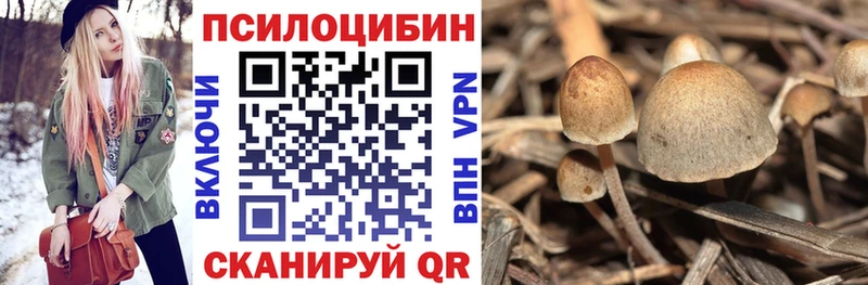 Псилоцибиновые грибы Psilocybe  Рассказово 